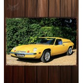 Металлическая табличка Lotus Europa S2 (Type 54)